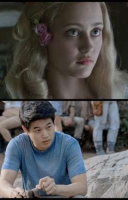 Жизнь Тихой Гавани