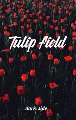 Тюльпановое поле