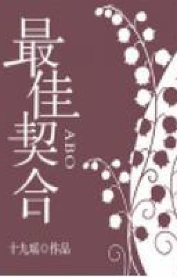 Идеальное соответствие