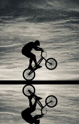 Тень Колибри