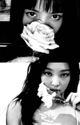 Противоположности притягиваются