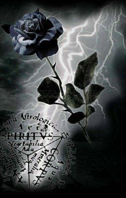 Quest'anno Deve Avere