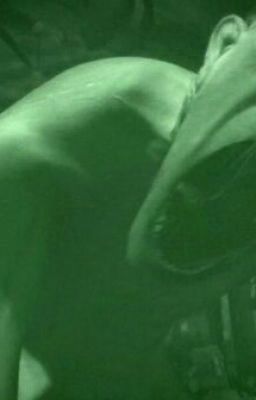 Страшные Истории 