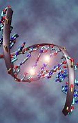 Осколок вселенной. Память.