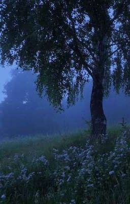 ᕼᗩᖇᖇY ᑭOTTEᖇ ᑕᕼᗩᖇᗩᑕTEᖇS ᖇEᗩᑕTIOᑎS