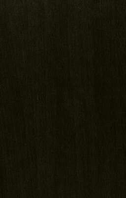 Звонок Самому Себе