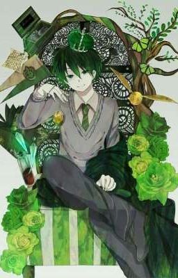 Гарри Снейп