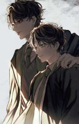 Гарри Поттер : другая сторона медали 