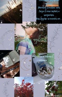 Обрывки чувств