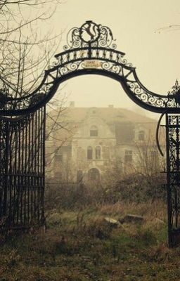 домик за окном