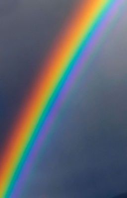 Ошо. Любовь. Свобода. Одиночество.