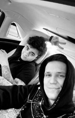 История Эмиля (димиль)