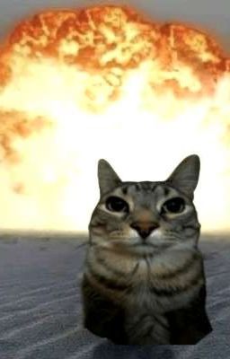 История Вари