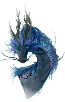 Вторая попытка