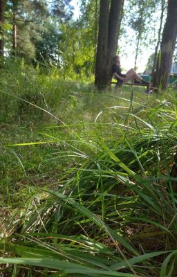 Мгновенье из жизни