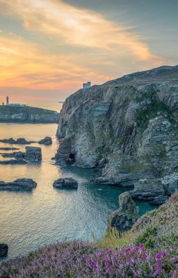 Я НАУЧИЛАСЬ ПРОСТО, МУДРО ЖИТЬ...