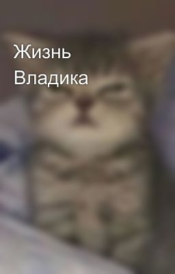 Жизнь Владика 