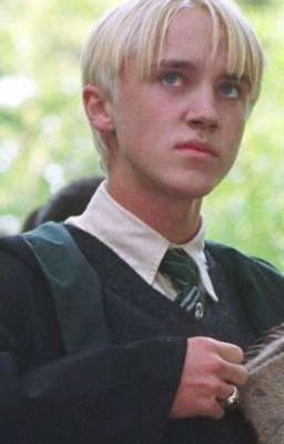 мой любимый псих