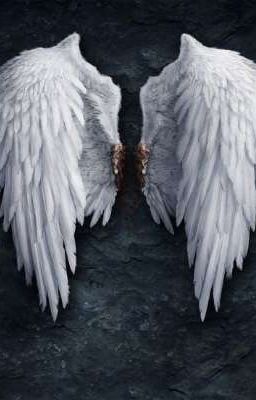 Жизнь Ангела