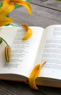 Я та, которая лишь плачет