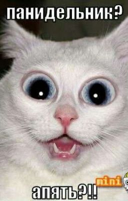 Смешные Анекдоты.