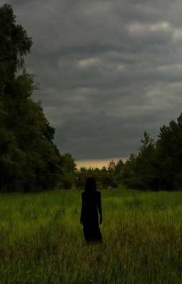 Загадочная жизнь