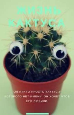 Жизнь кактуса...