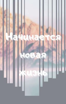 Начинается новая жизнь