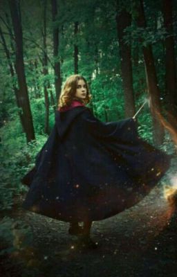 Гарри Поттер: Возрождение