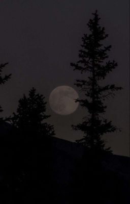 Душа возмездия