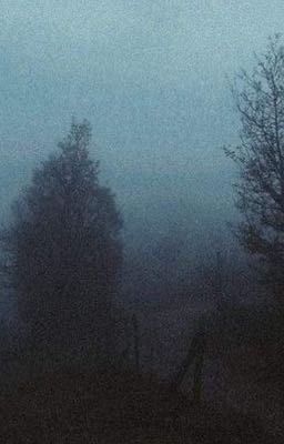 Что-то в этом доме!