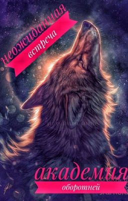 Неожиданная встреча. Академия оборотней.