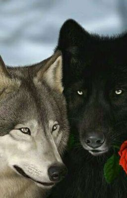 полуволки [ЗАМОРОЖЕНА]