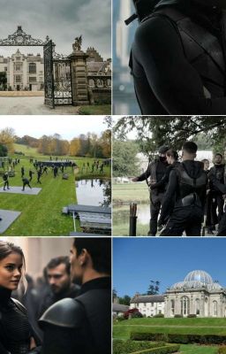 Обретение новой семьи (название может измениться)