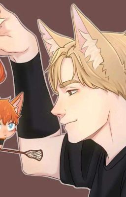 - Мой котёнок