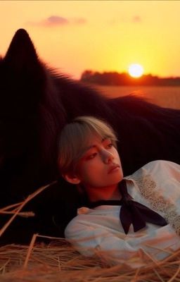 Волчьи сети.