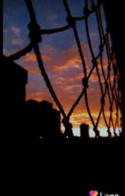 Жизнь в Северной Каролине