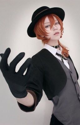 Реакции бродячих псов