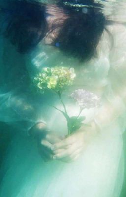 Серебристо-зеленый улов