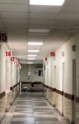 Истории одной одинокой жизни