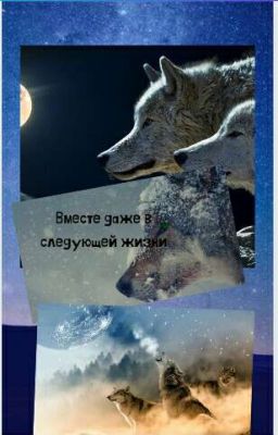 Вместе даже в следующей жизни