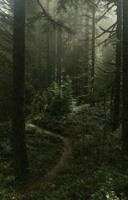 Велению Судьбы