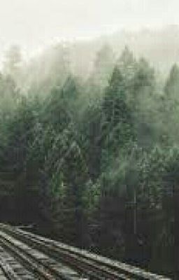 Необычная любовь, или вперёд к приключениям