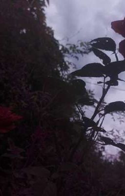 Стихотворения.♡