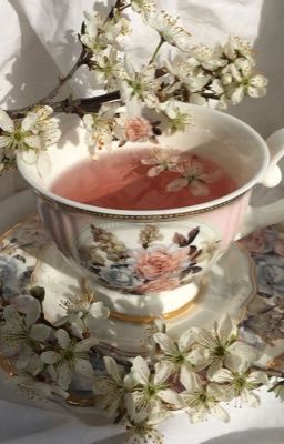 на чашечку чая(душевная проза). midnight the cat.