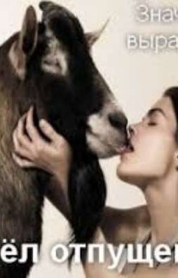 Осколок краш