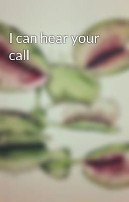 I can hear your call