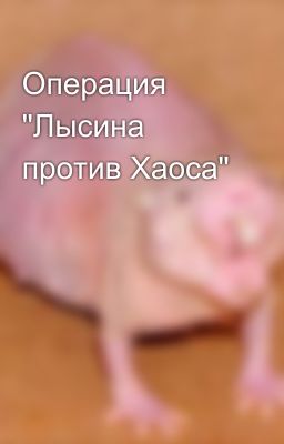Операция "Лысина против Хаоса" 