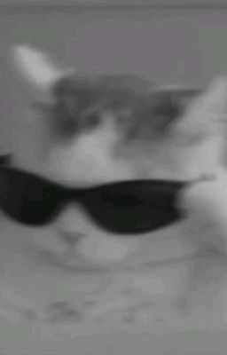 ты мой друг или больше 2