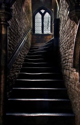 Новый горизонт